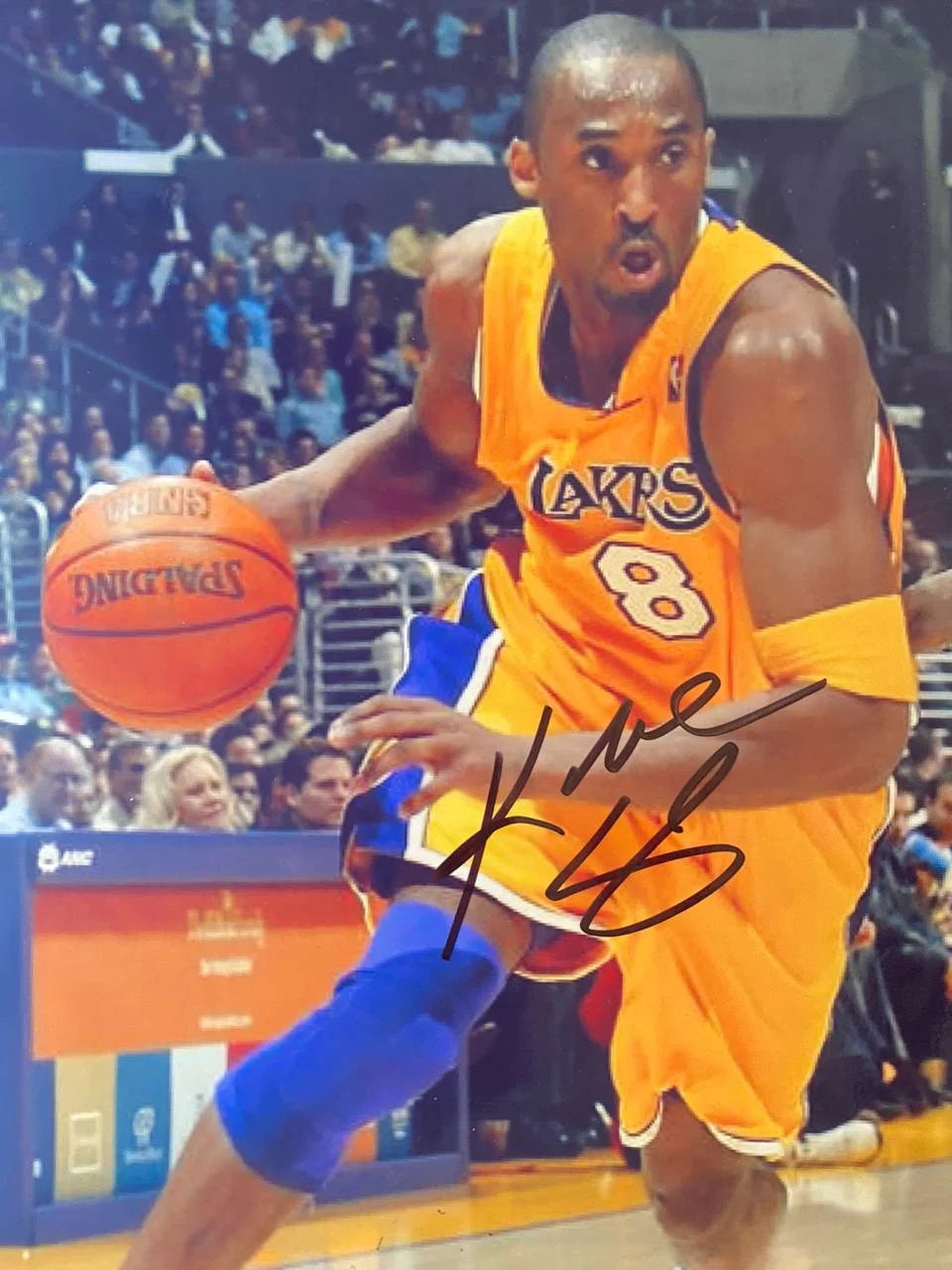 Kobe Bryant Dribbling by Memorabilia